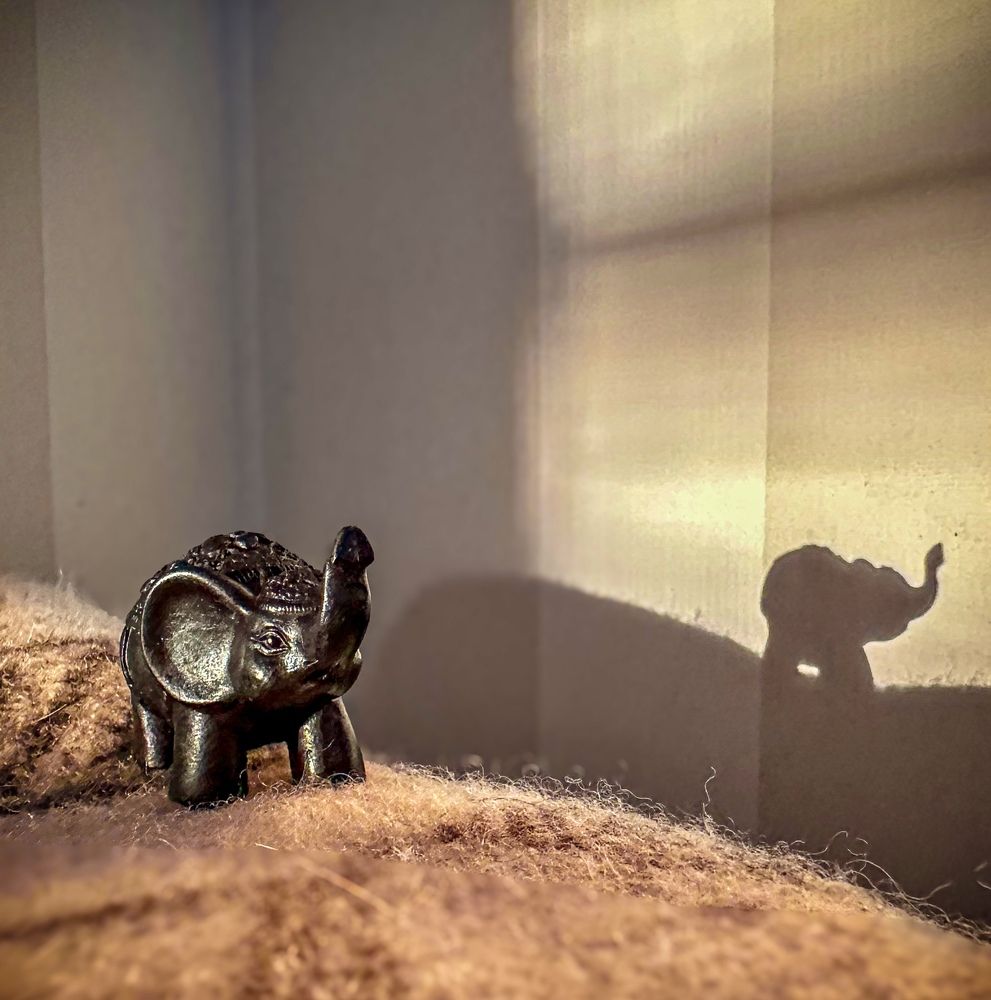 Photograph by Екатерина Козлова