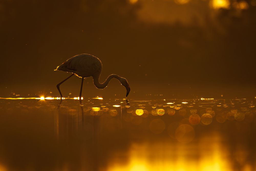 Фотография автора Patryk Kurc