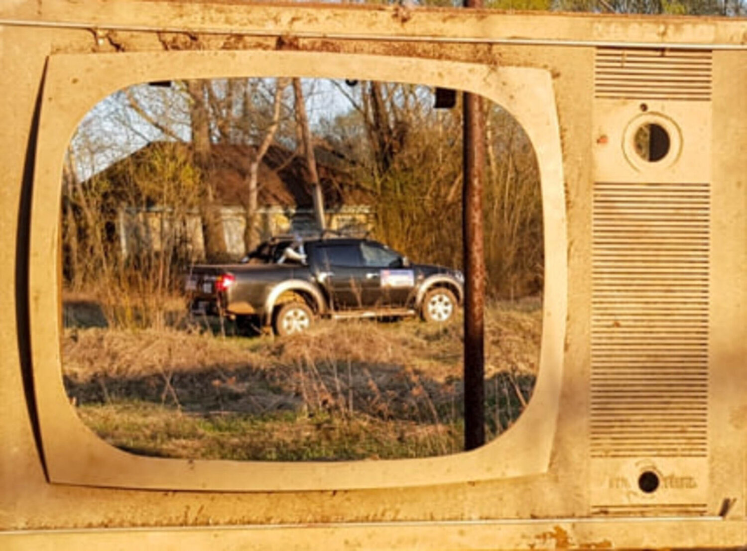 Photo #12769419