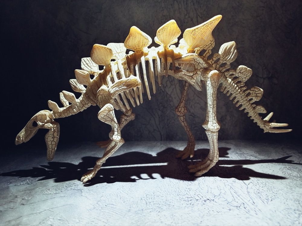 Сохранившийся скелет древнего ящера.