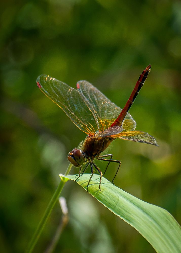Photograph by Евгений Королев