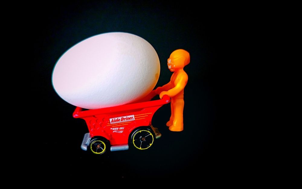 Фотография автора Rafa