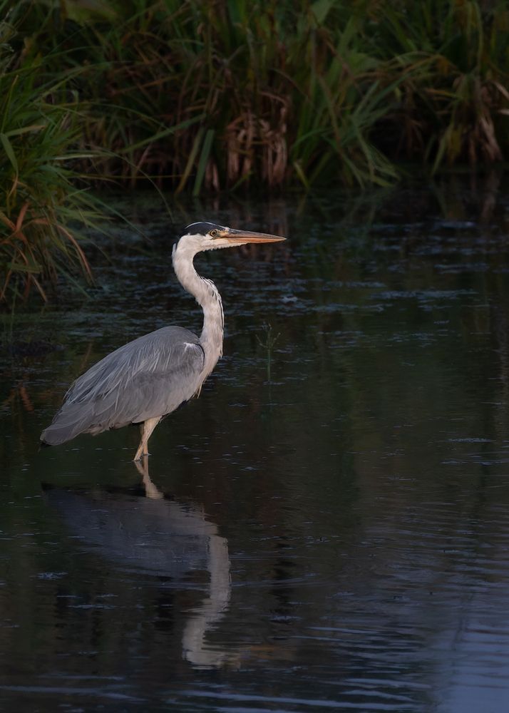 Photograph by Загруев Михаил