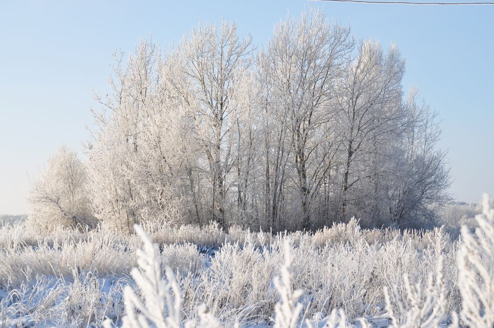 Красота зимы