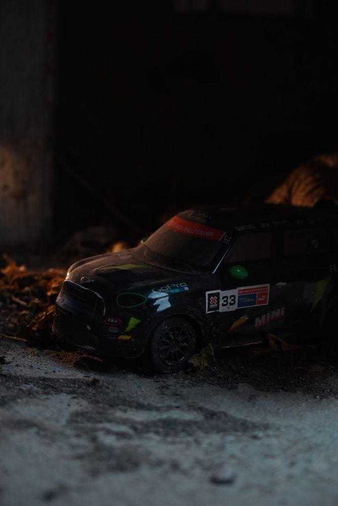 Фотография автора Эльза Завьялова