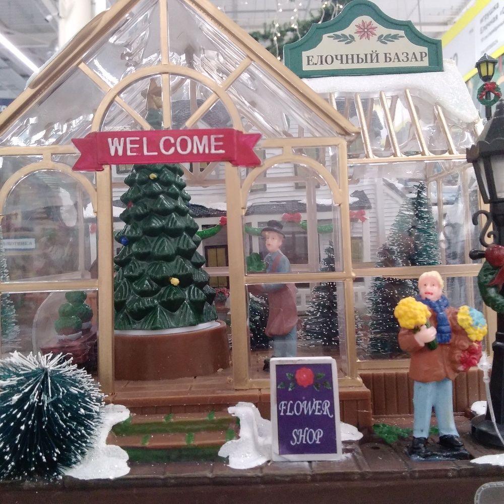 Photograph by Васильева Львовна