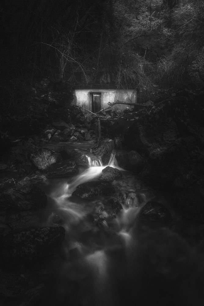 Photograph by de Franzoni Thomas