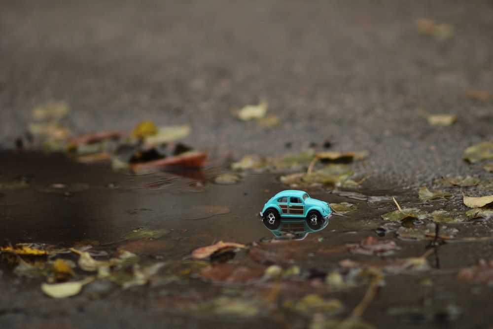 Photograph by EKATERINA SOKOLOVA