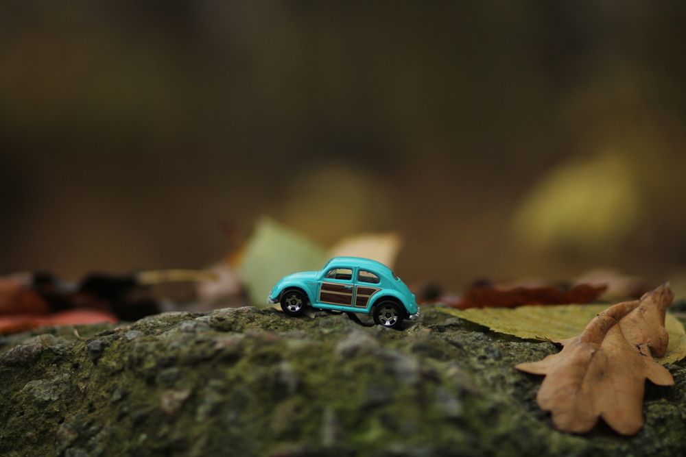 Photograph by EKATERINA SOKOLOVA