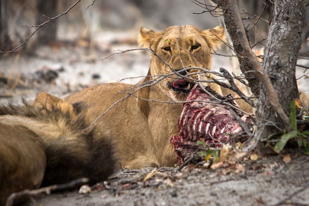 Photograph by Алексей Мараховец