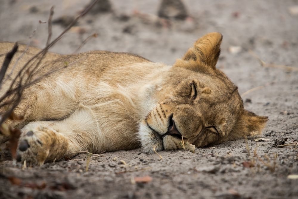 Photograph by Алексей Мараховец