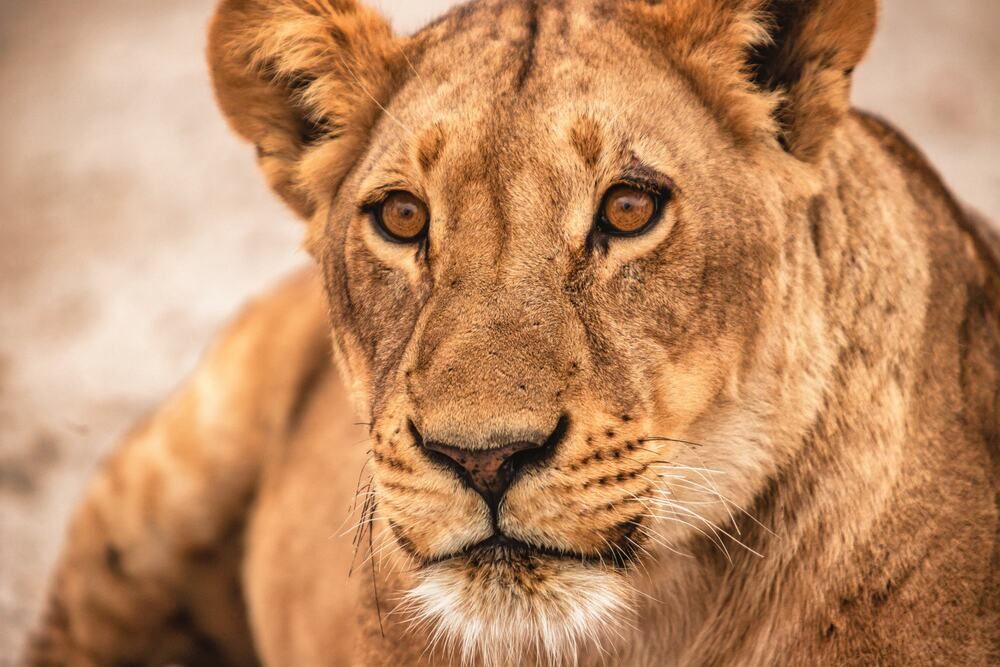 Photograph by Алексей Мараховец