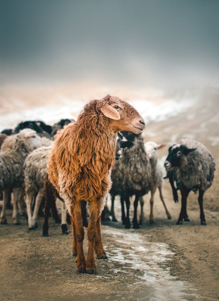 Photograph by Анна Орлова