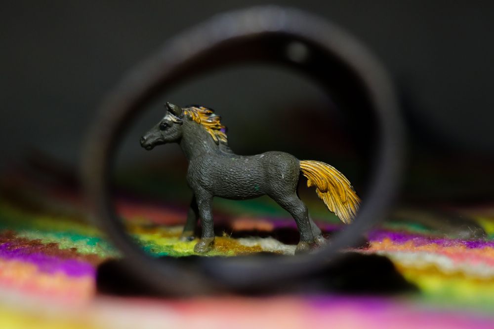 Фотография автора Елена Чурилова