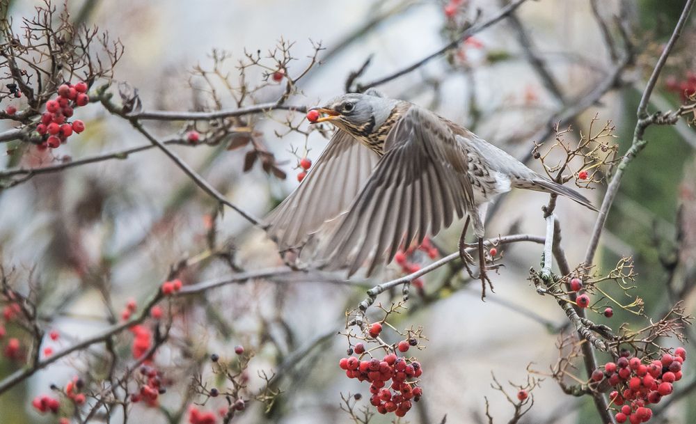 Photograph by Владимир Безбородов