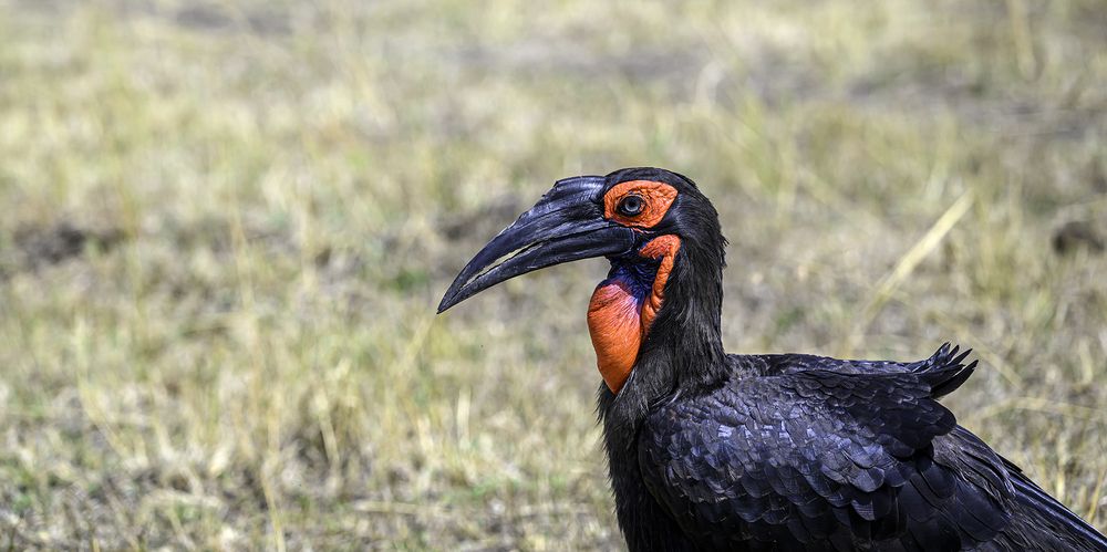 Photograph by Nuwair ALHajeri