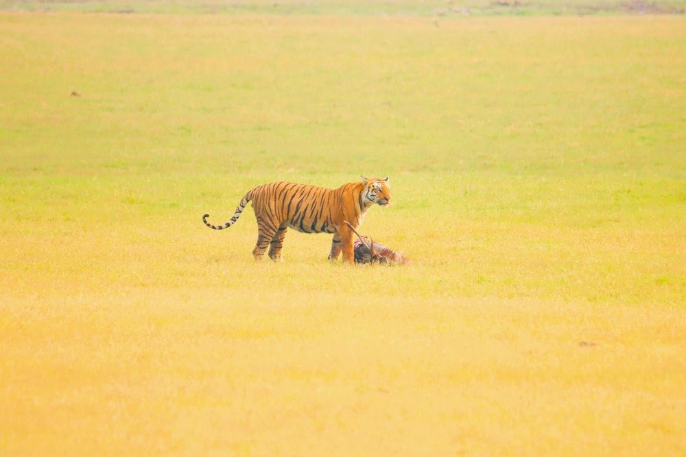 Photograph by pankaj kapoor