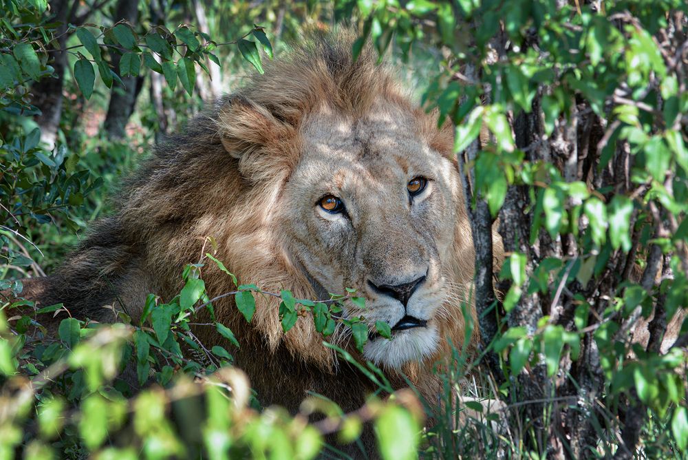 Photograph by Inna Ivanova