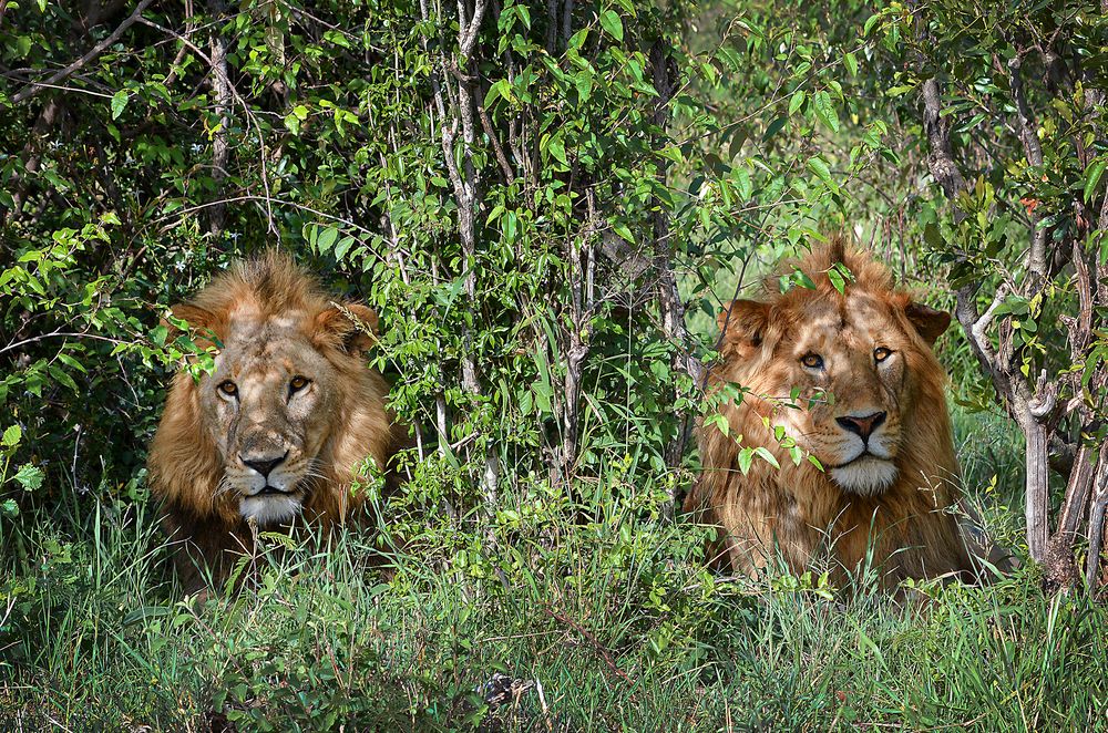 Photograph by Inna Ivanova