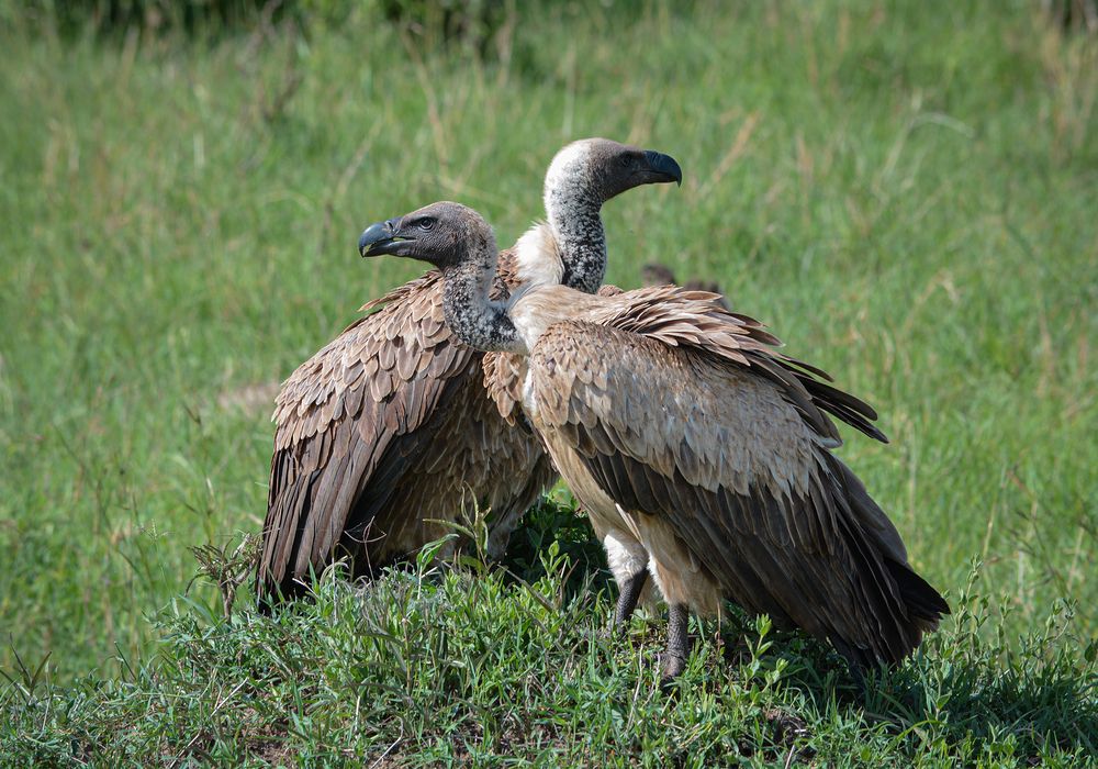 Photograph by Inna Ivanova