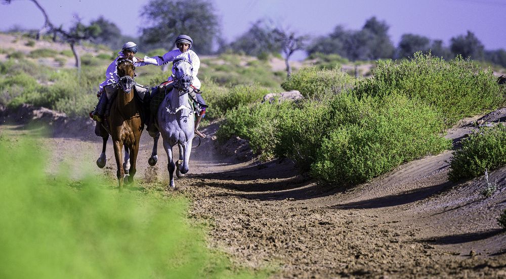 Photograph by Nuwair ALHajeri