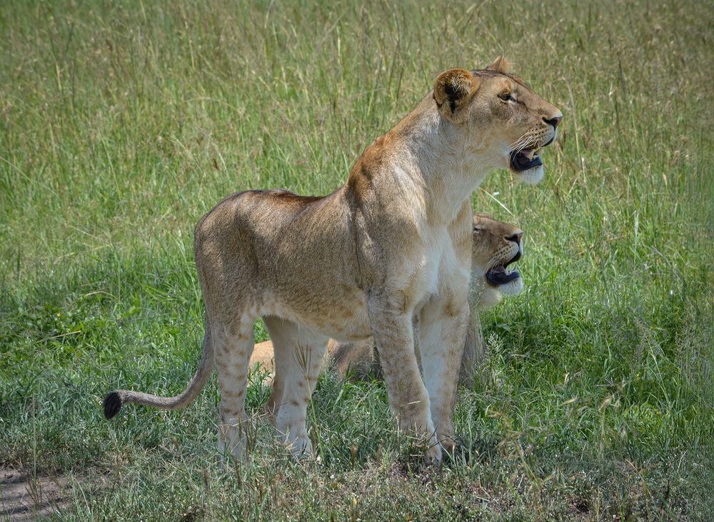 Photograph by Inna Ivanova