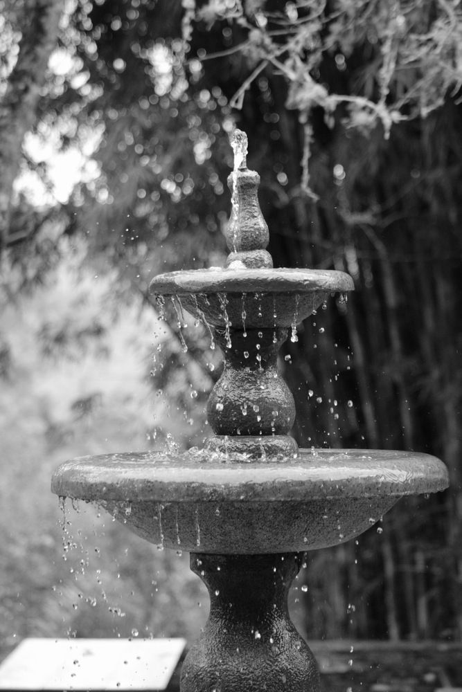 Фотография автора Alexandre Pimentel