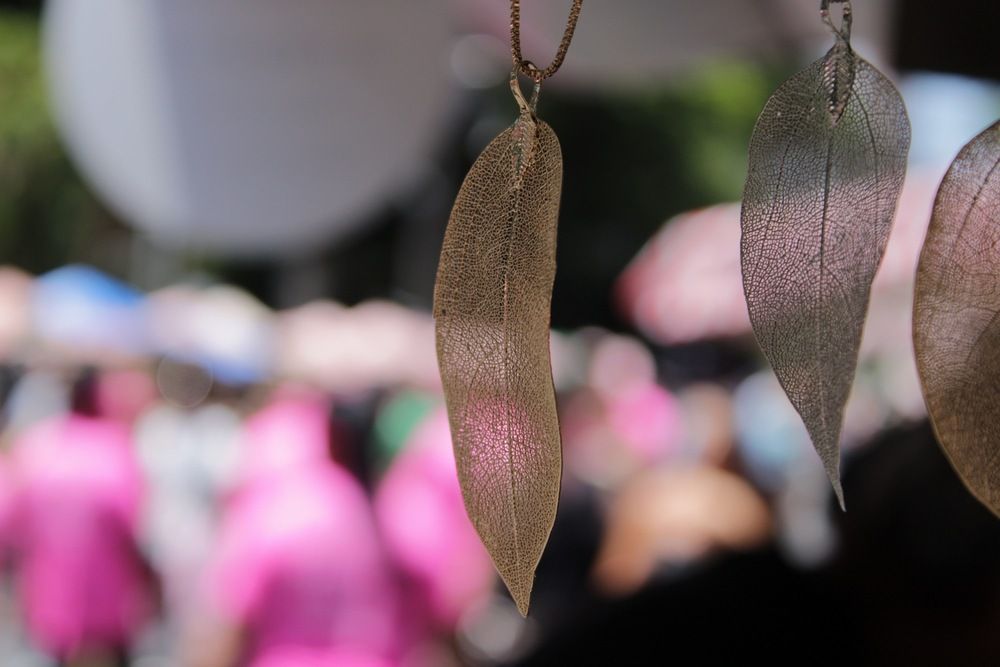 Фотография автора Alexandre Pimentel