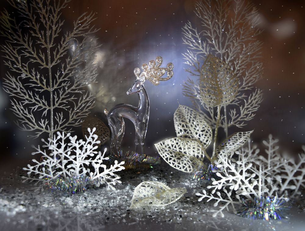 Фотография автора Шипунова Ирина