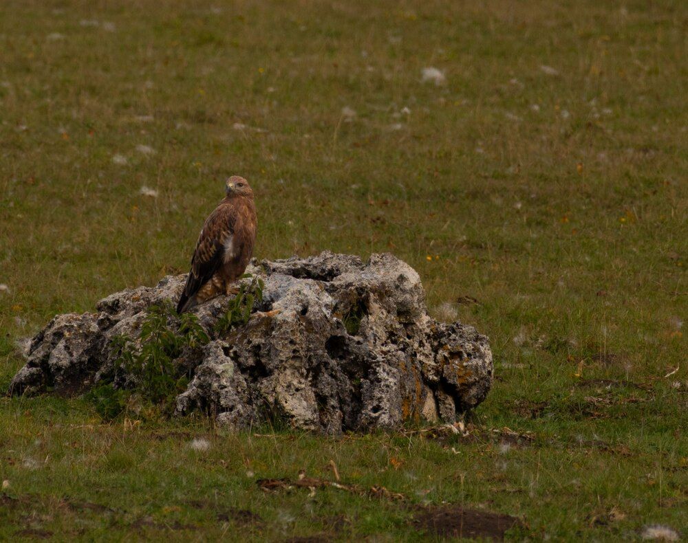 Photograph by Дашима