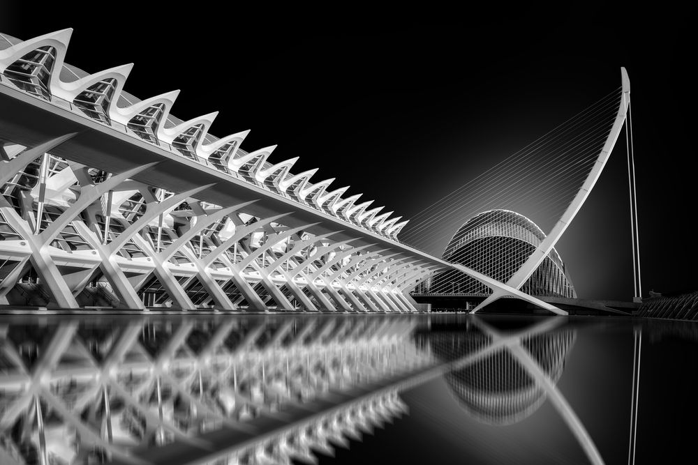 Silent Symmetry