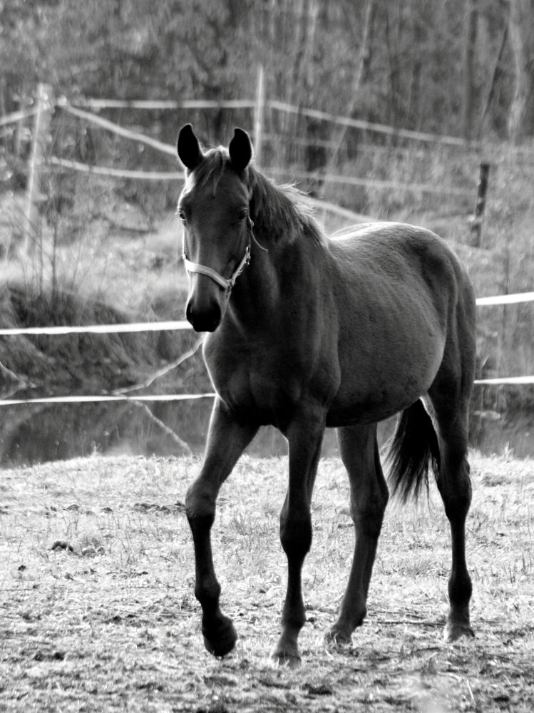 Photograph by Алексей Макаров