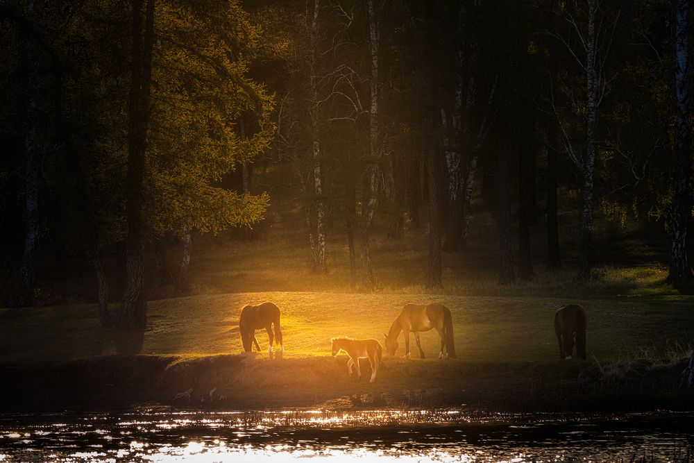 Photograph by Бирюкова Татьяна