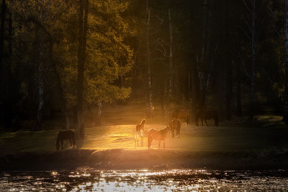 Photograph by Бирюкова Татьяна