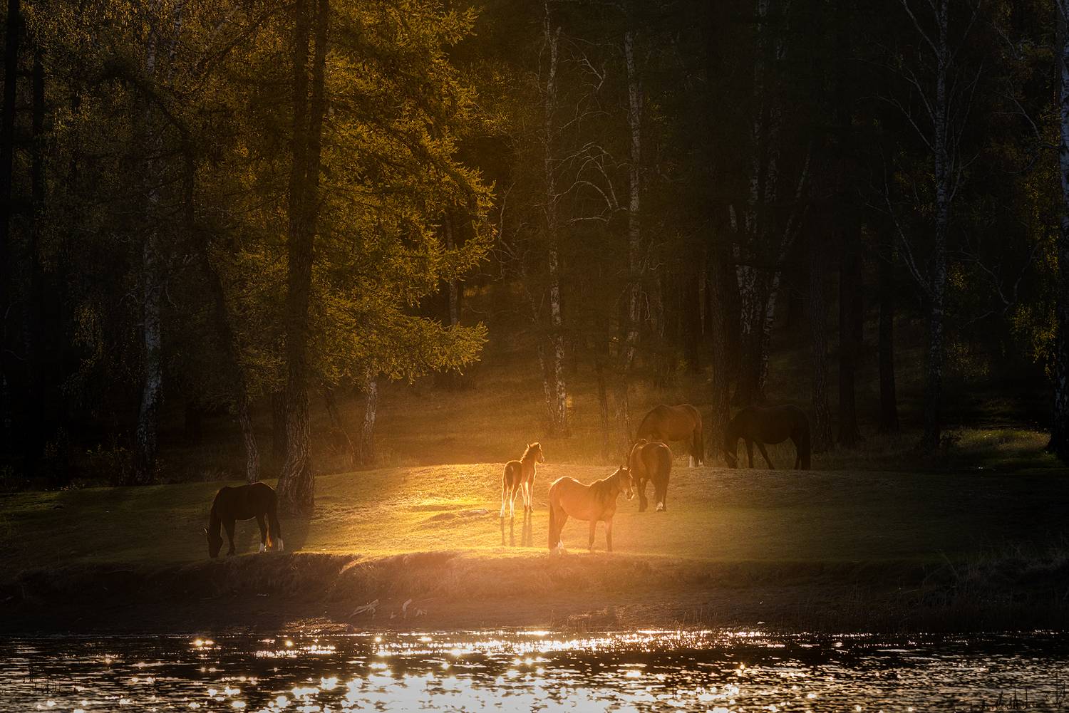 Фотография #12770422