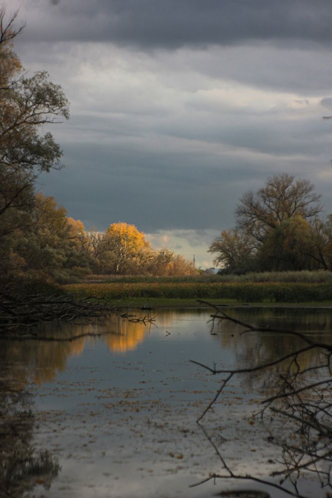 Фотография автора Георгий Машкин