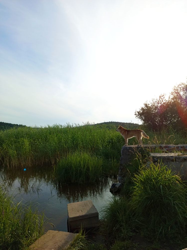Photo #12770634