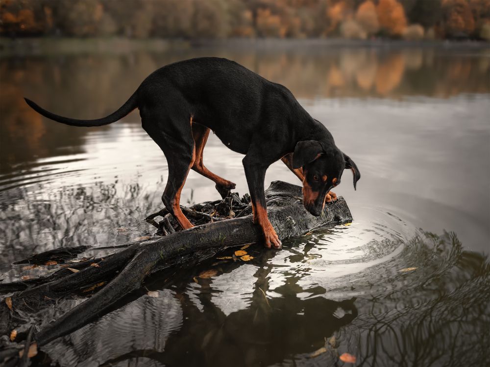 Фотография автора Васильева Светлана
