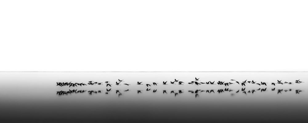 Photograph by Austin Bueno