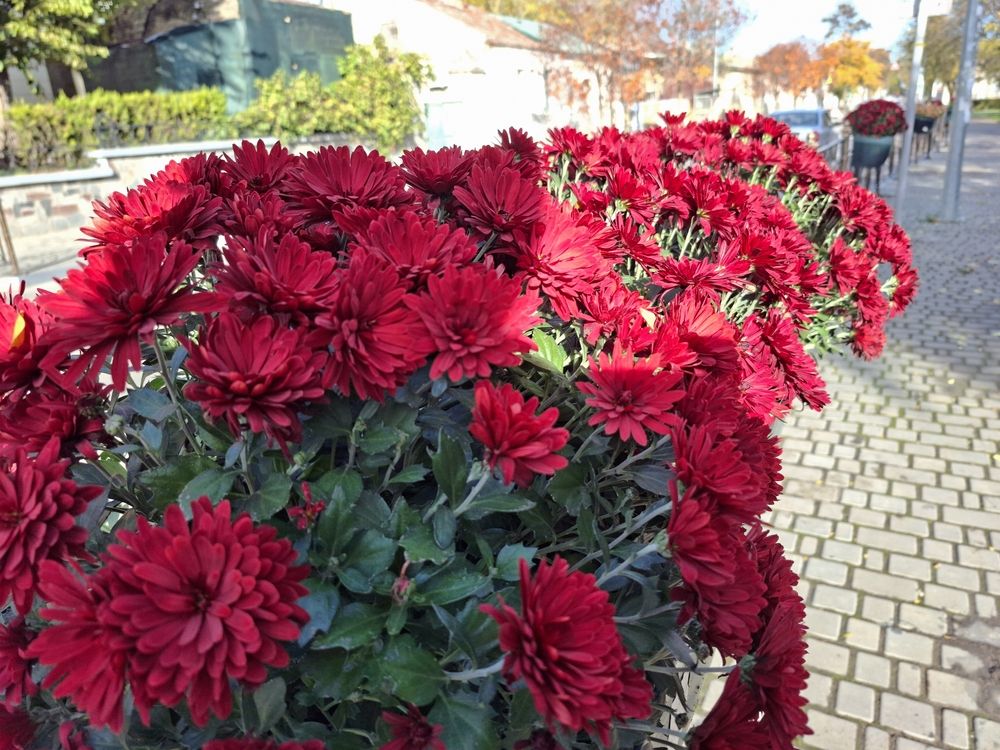 Photograph by Анатолий Дячина