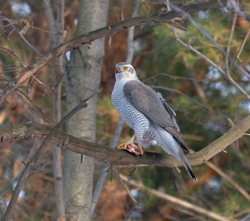 Photograph by Олег Юмашев