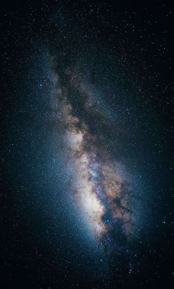 Photograph by EVGENII KOCHETKOV