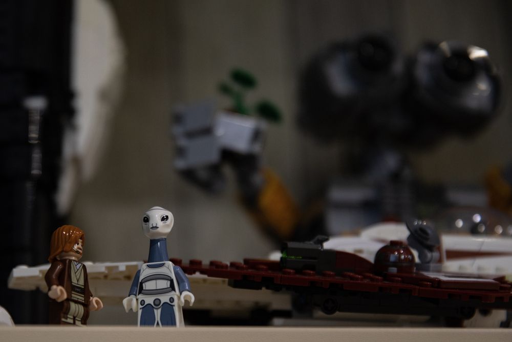 Photograph by G Shish