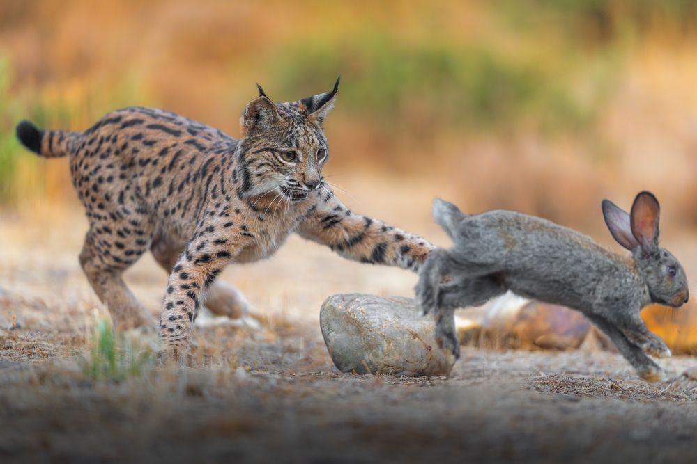 Photograph by Lyubomir Momchilov