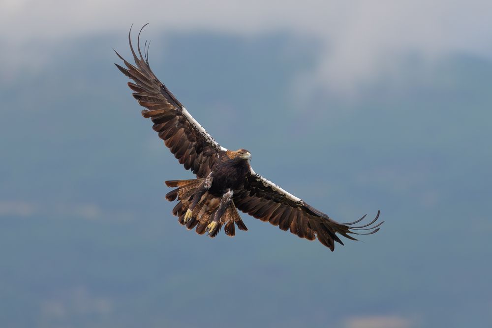 Photograph by Lyubomir Momchilov