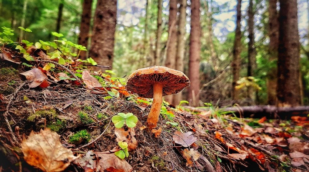 Photograph by Ольга