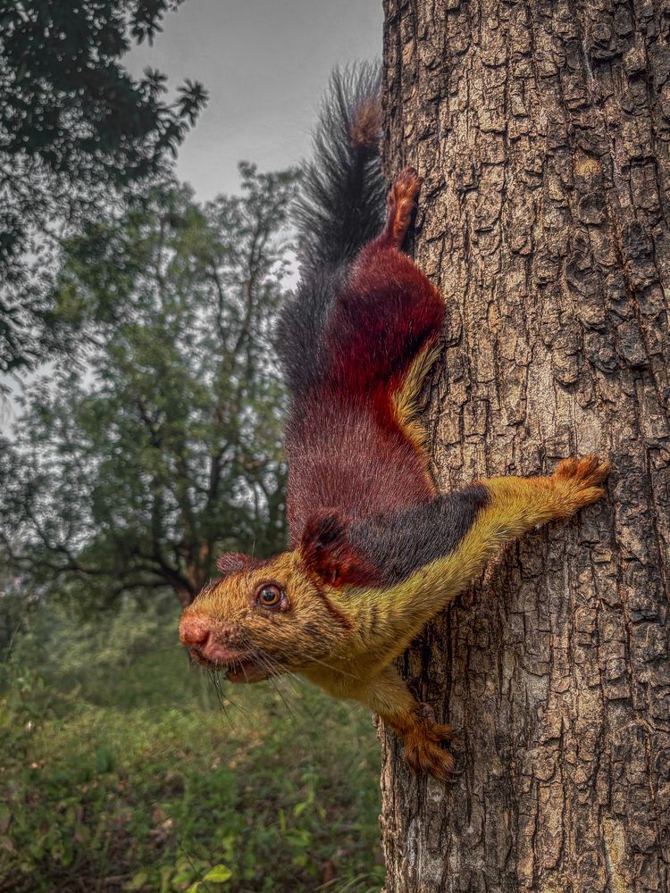 Photograph by Vipul Saxena