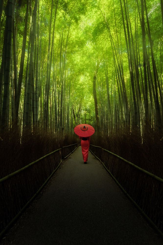 Photograph by Camacho Anto