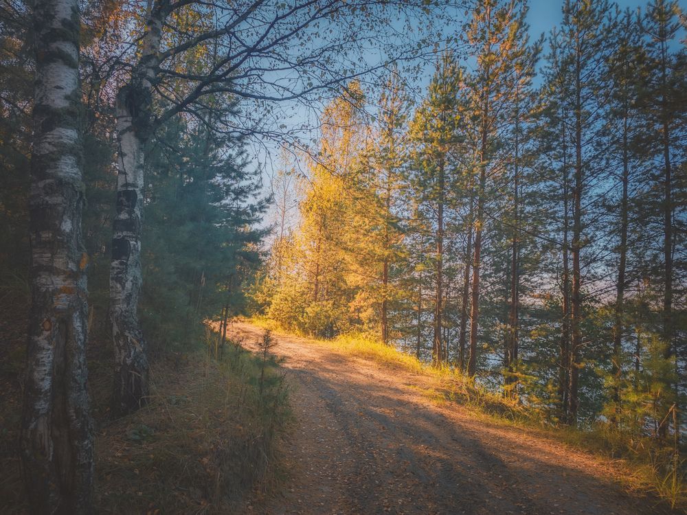 Photograph by Кирилл Сидоров