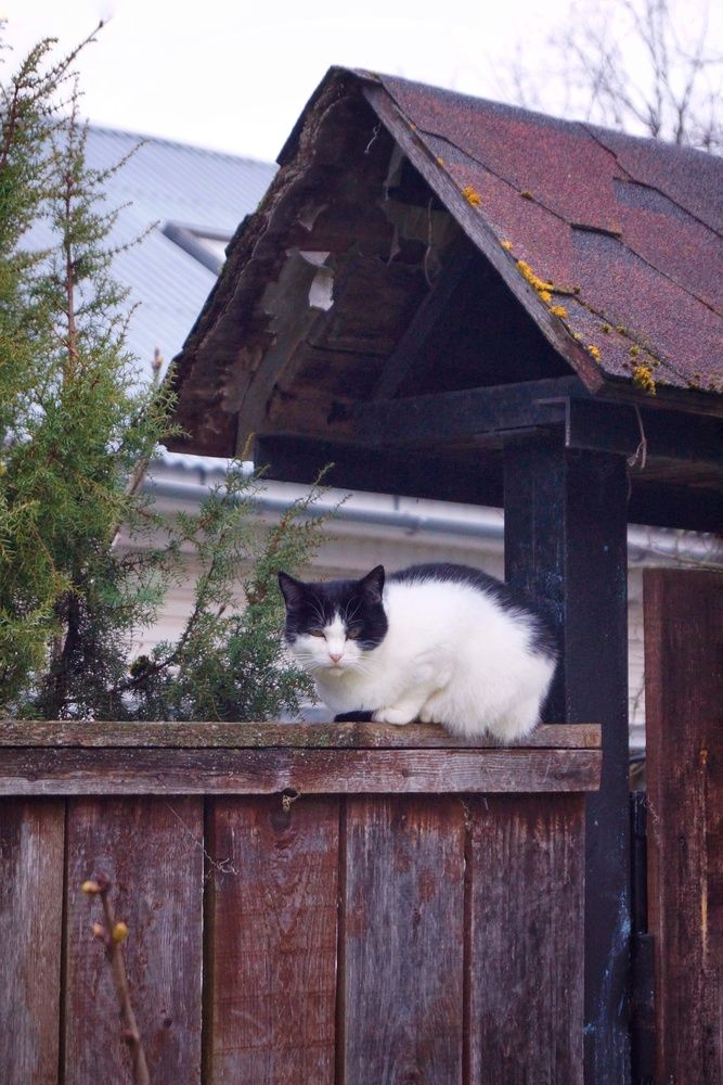 Вздремнул после обеда)